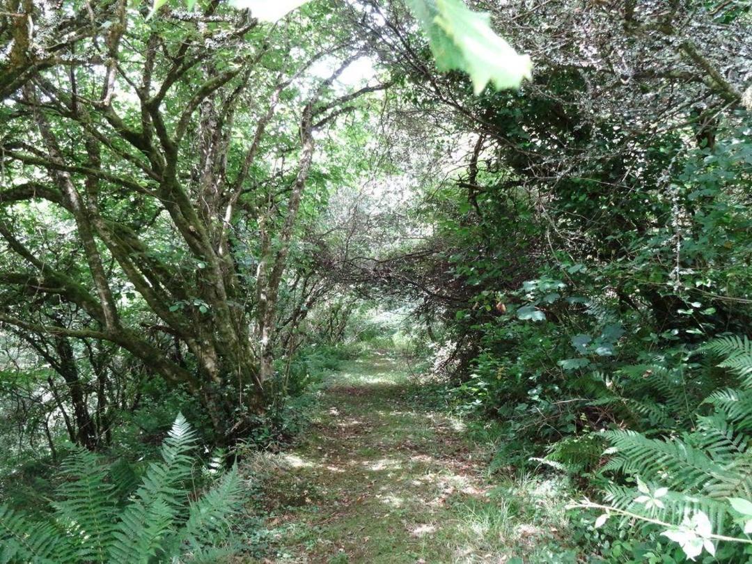 Badger Cottage Mawgan Eksteriør bilde