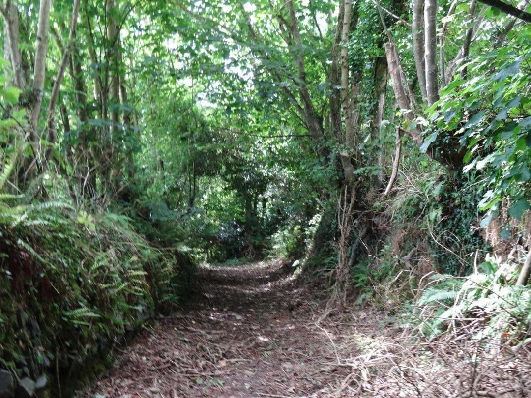 Badger Cottage Mawgan Eksteriør bilde